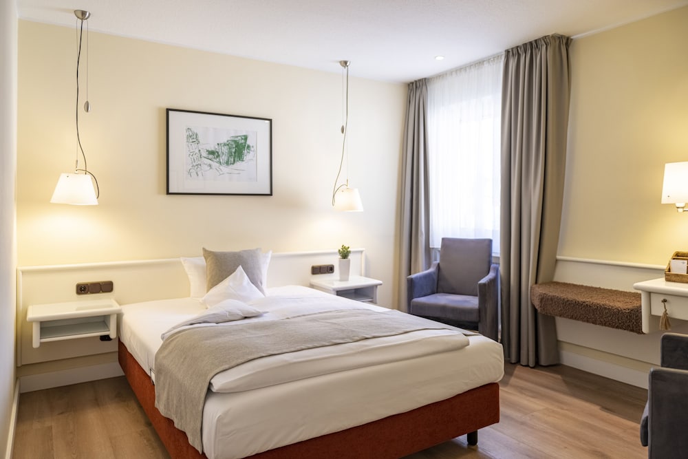 Comfort Single Room, 1 Queen Bed photo 2