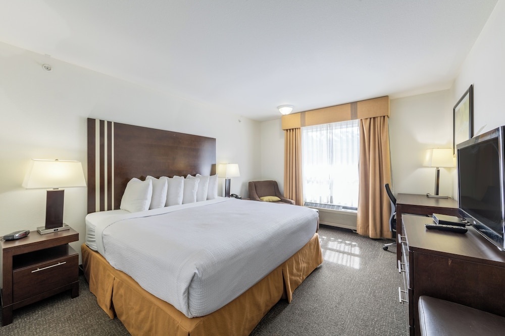 Room, 1 King Bed, Accessible, Non Smoking (Mobility) photo 3