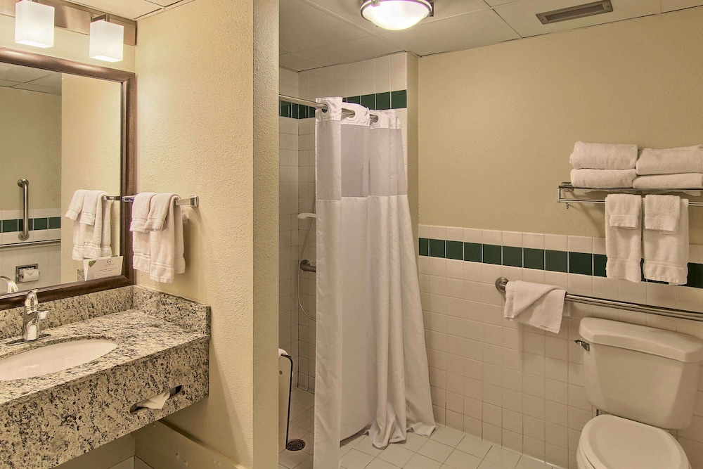 Blossom Hotel & Suites Traverse City, Billede 6