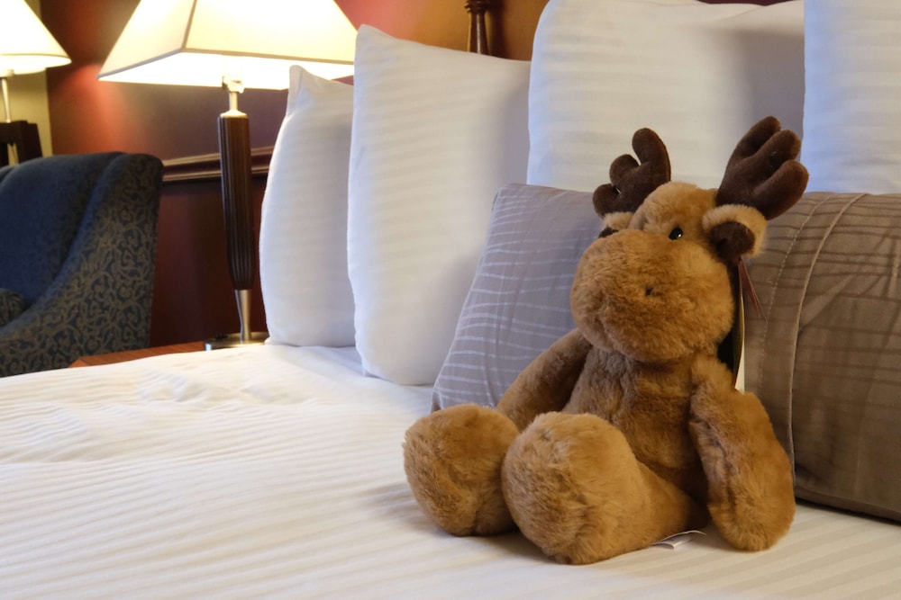 Premium Room, 1 King Bed - Photo 5
