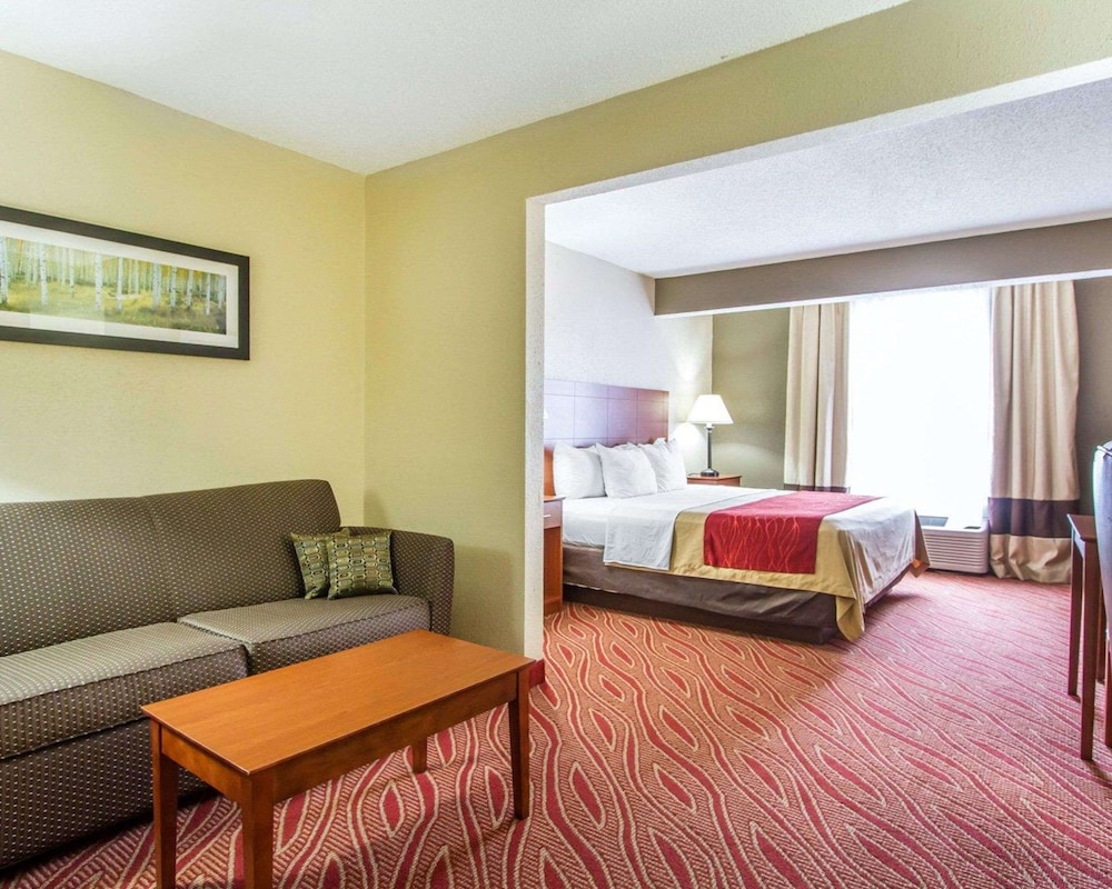 Suite, 1 King Bed, Non Smoking - Photo 4