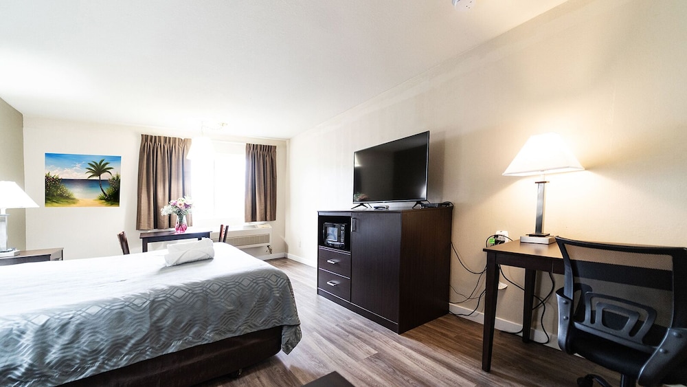 Comfort Single Room photo 3