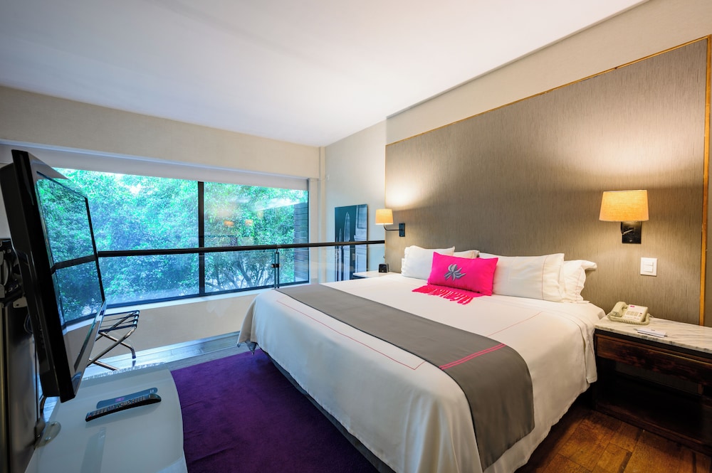 Top Suite, 2 Floors photo 3