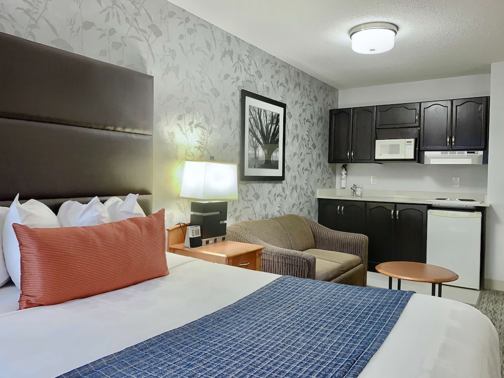 Standard Room, 1 Queen Bed, Non Smoking, Kitchenette (with Sofabed)
