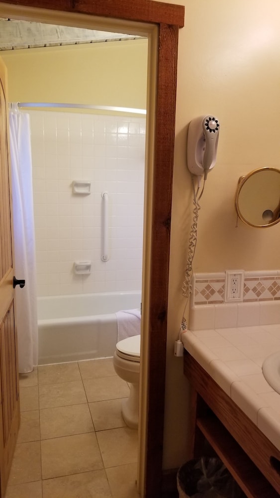 Standard Room, 1 King Bed, Mountain View photo 2