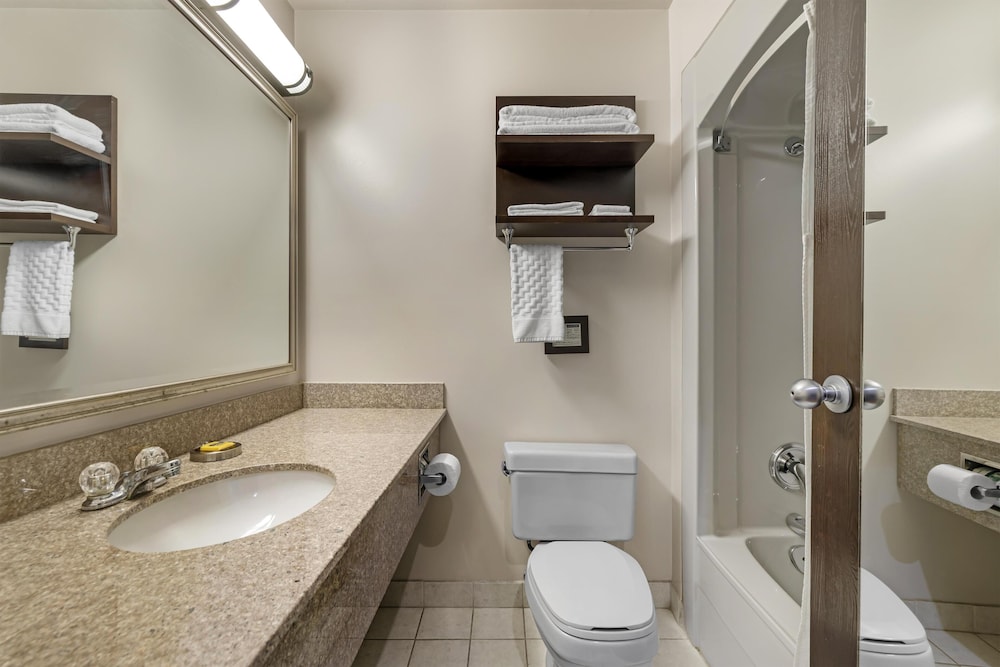Standard Room, 1 King Bed, Non Smoking, Refrigerator & Microwave - Photo 4