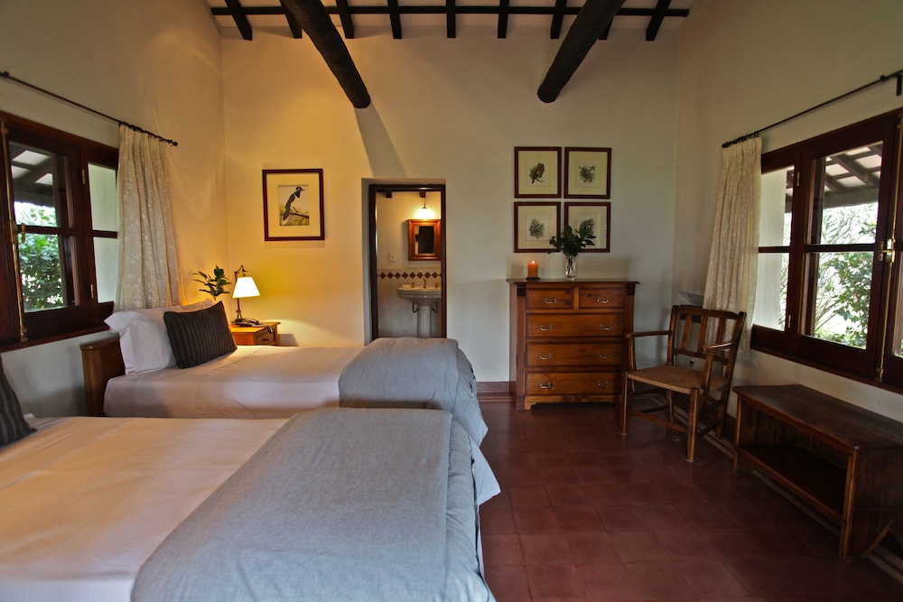 Standard Double Room, 2 Twin Beds photo 1
