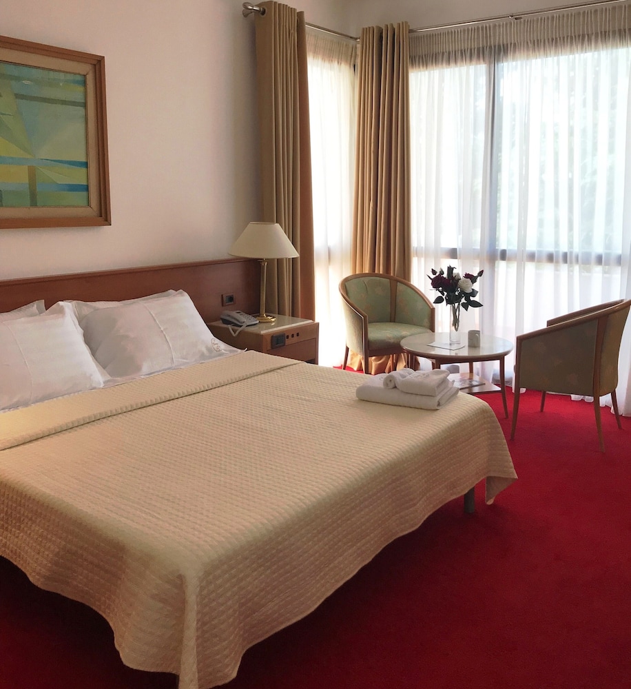 Standard Double Room, Mountain View