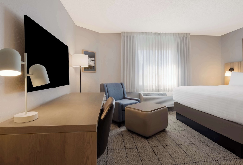 Studio Suite, 1 King Bed - Photo 3