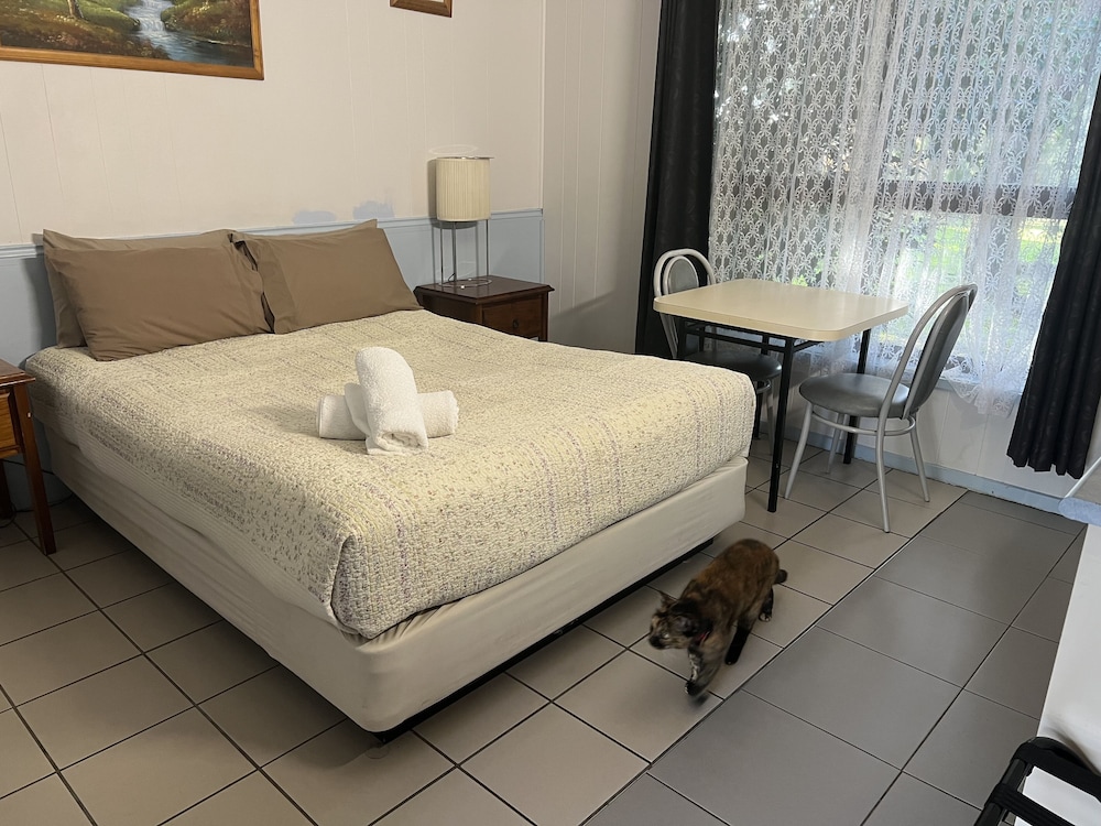 Pet friendly photo 1