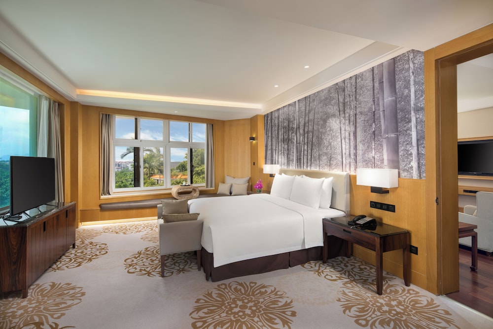 Executive Studio Suite