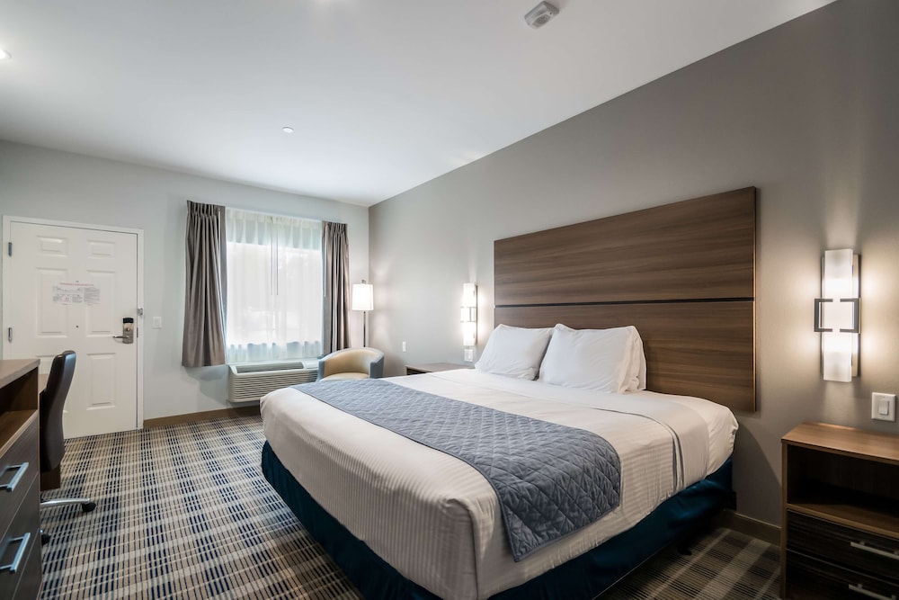 Suite, 1 King Bed, Accessible, Non Smoking (Kitchenette) photo 3