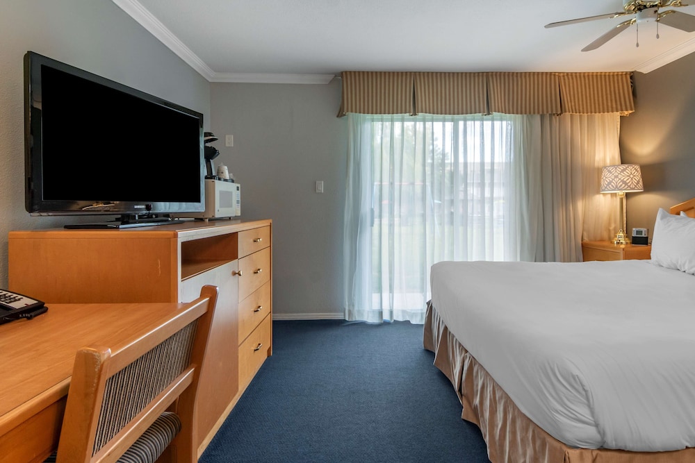 Standard Room, 1 King Bed, Non Smoking, Refrigerator & Microwave photo 2