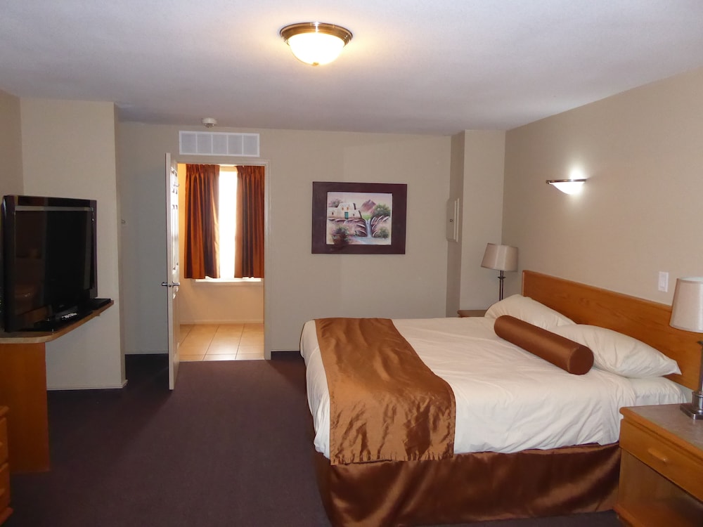 Standard Room, 1 King Bed, Accessible (Pet room)