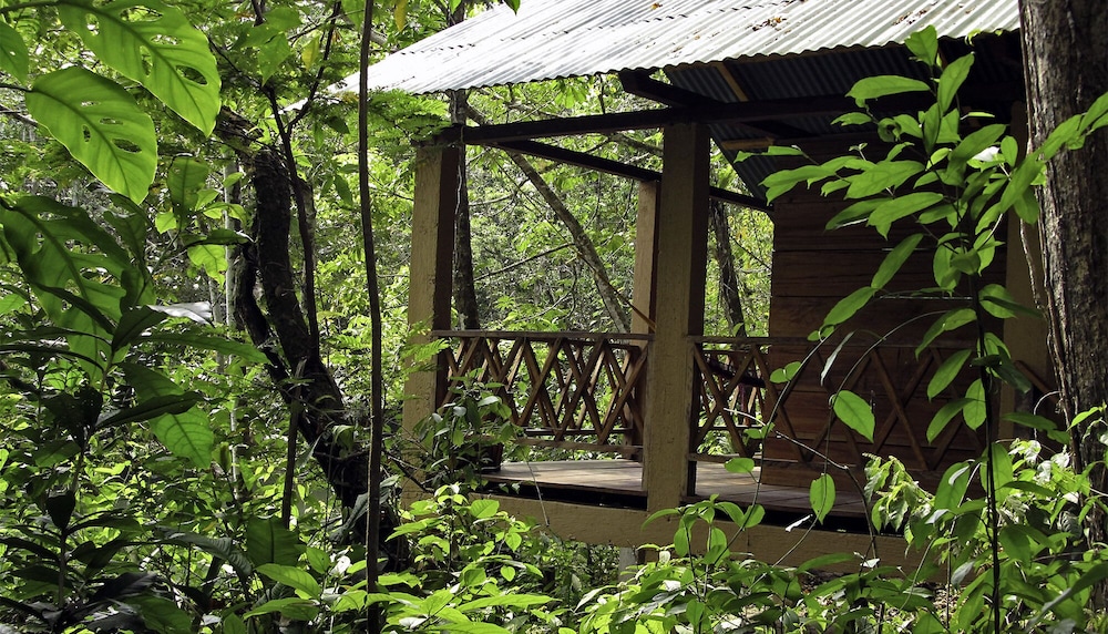 Basic Cabin, River View photo 2