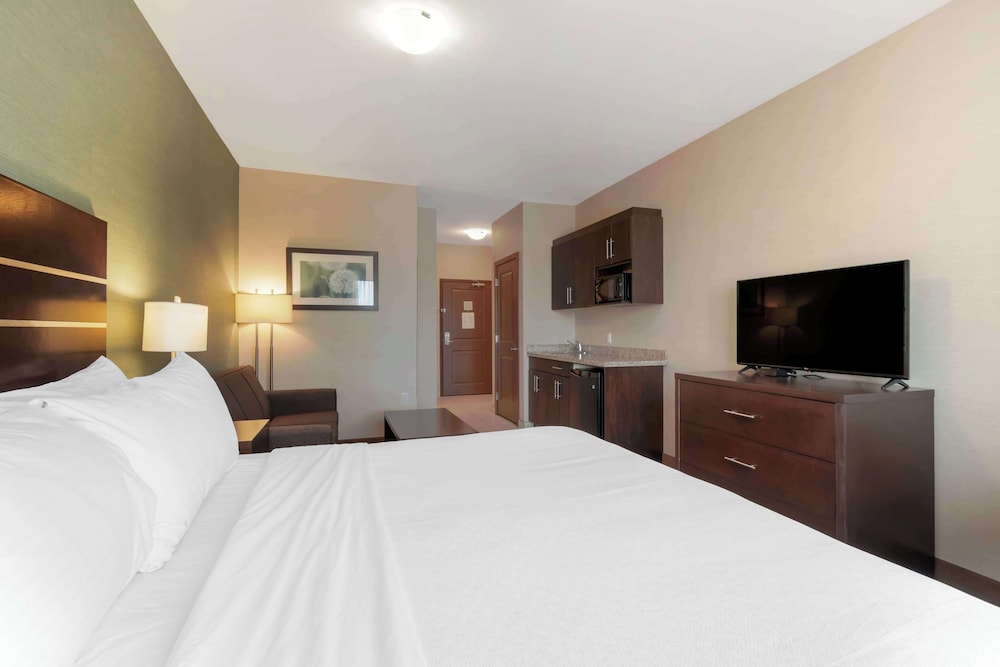Superior Room, 1 King Bed, Non Smoking