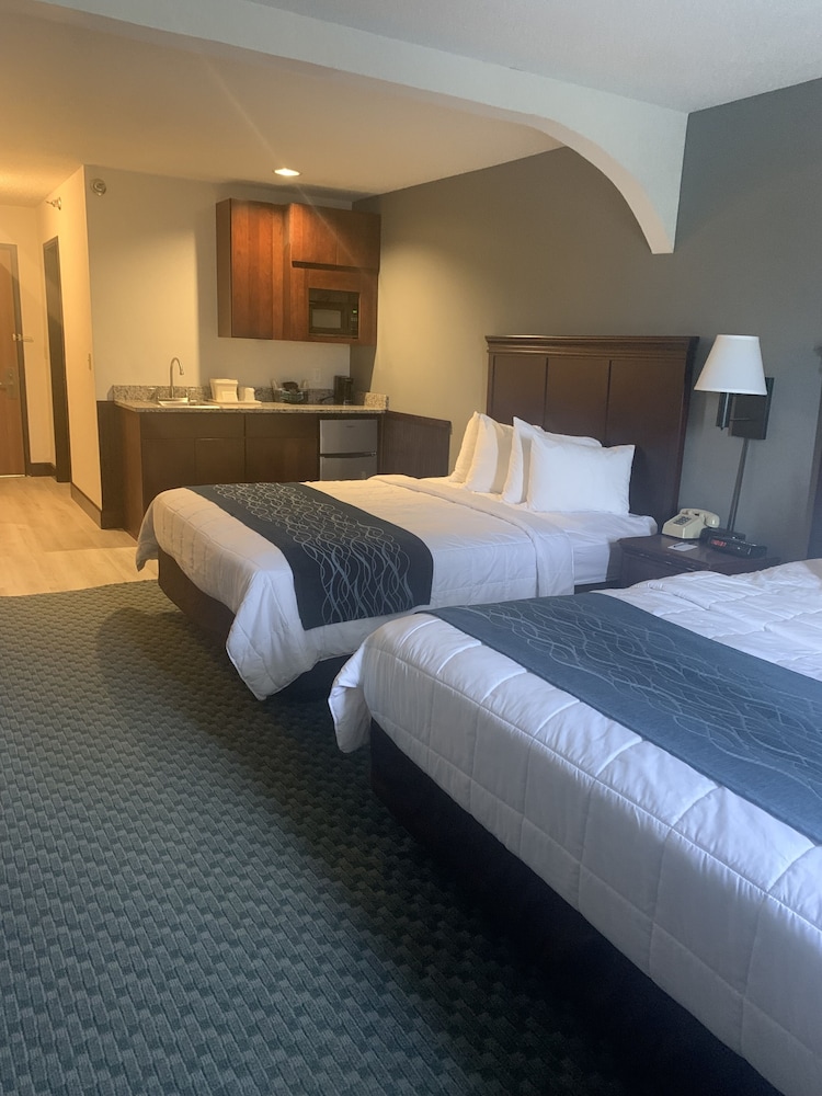 Deluxe Room, Multiple Beds, Kitchenette photo 1