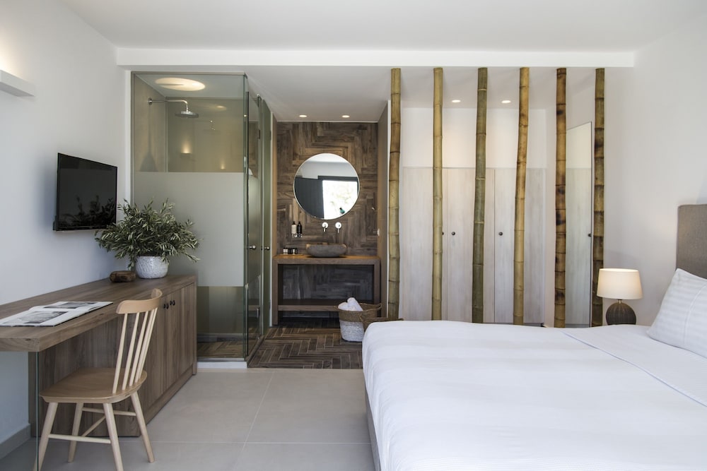 Classic Double or Twin Room, Garden View photo 1