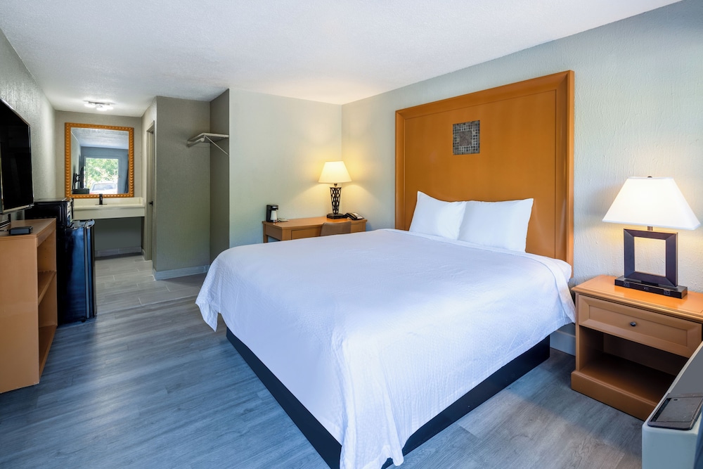 Room, 1 King Bed, Accessible - Photo 1
