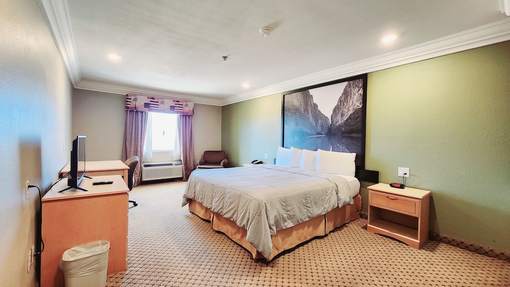Room, 1 King Bed, Non Smoking - Photo 5