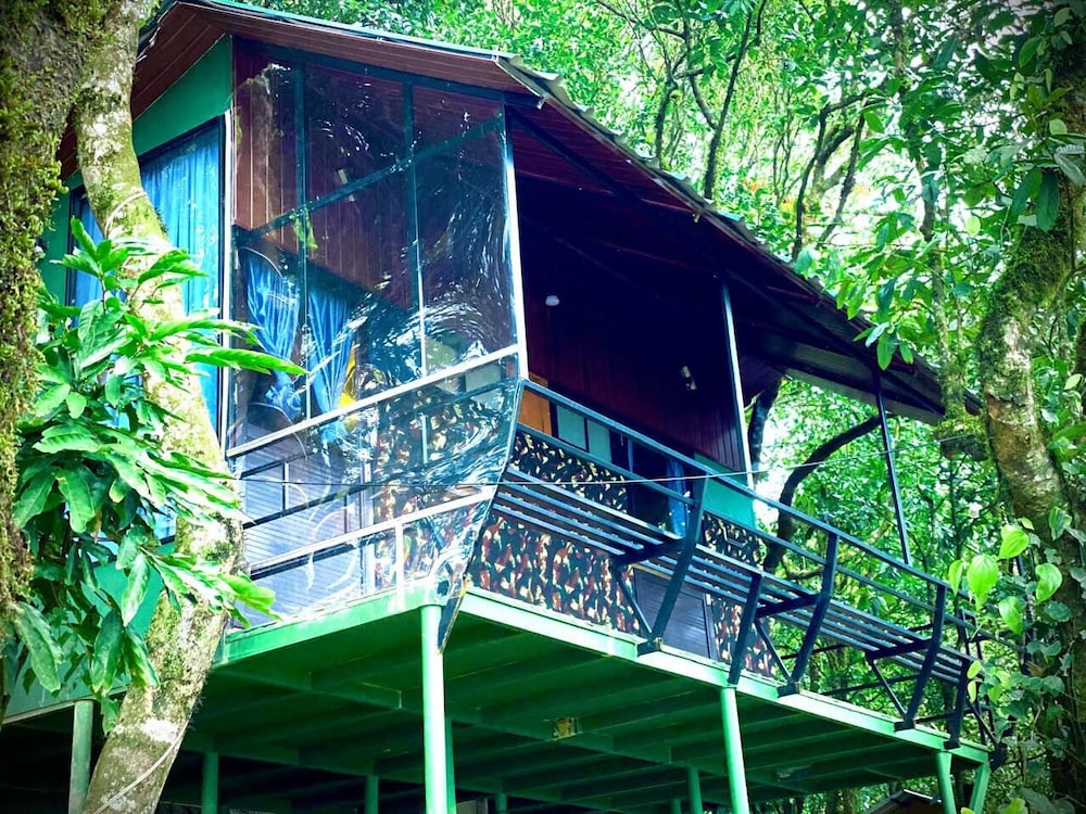 Classic Cabin