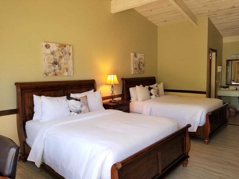 Traditional Double or Twin Room photo 3