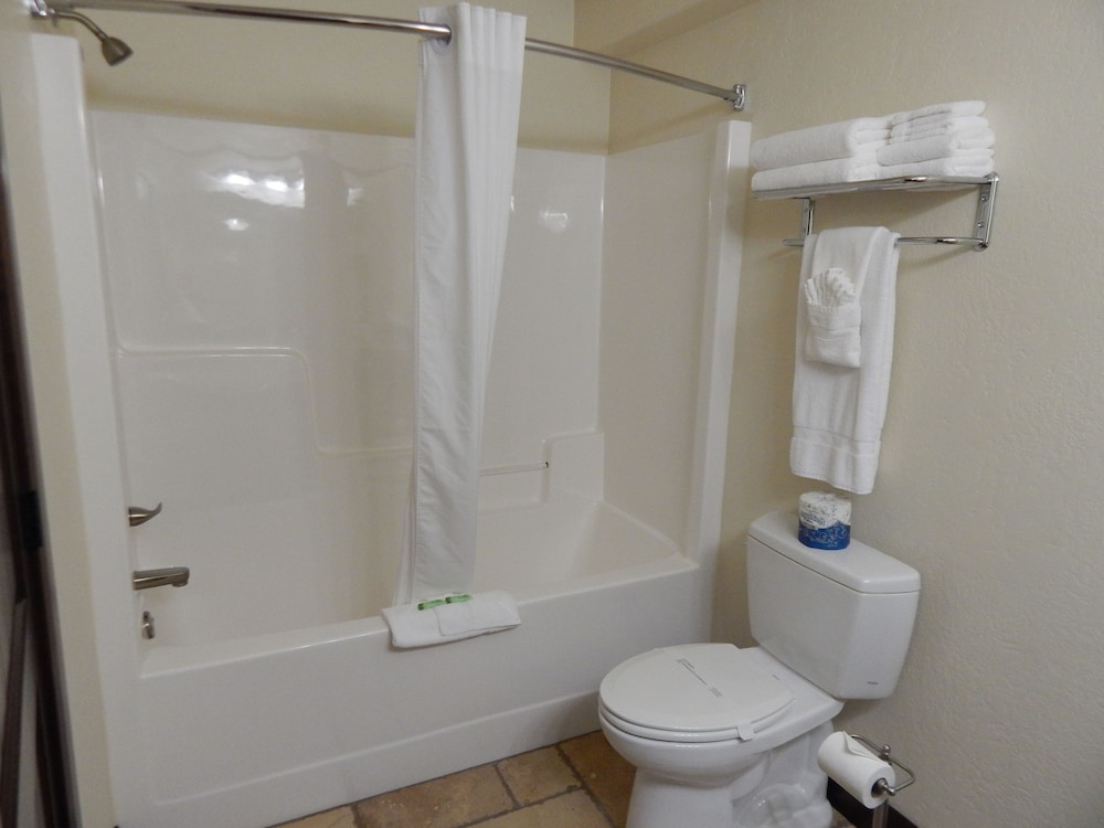 Luxury Suite, 1 King Bed, Kitchen photo 3