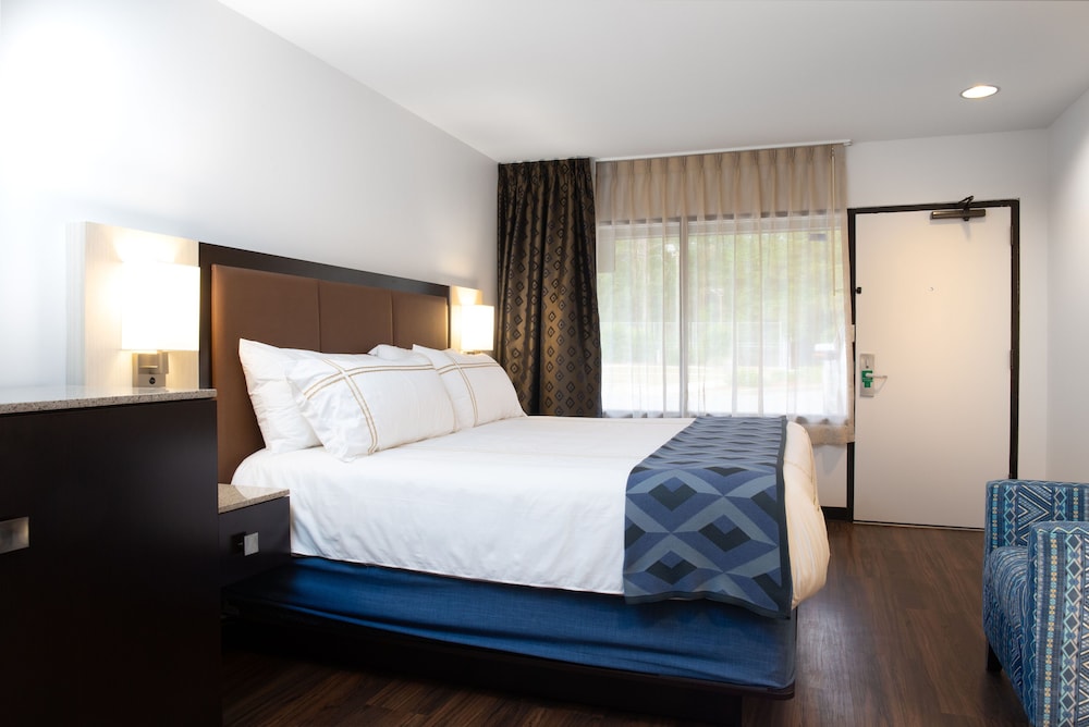 Premium Room, 1 King Bed, Accessible photo 3