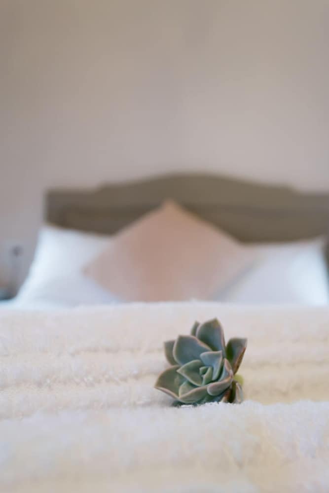 Double Room (9) photo 3