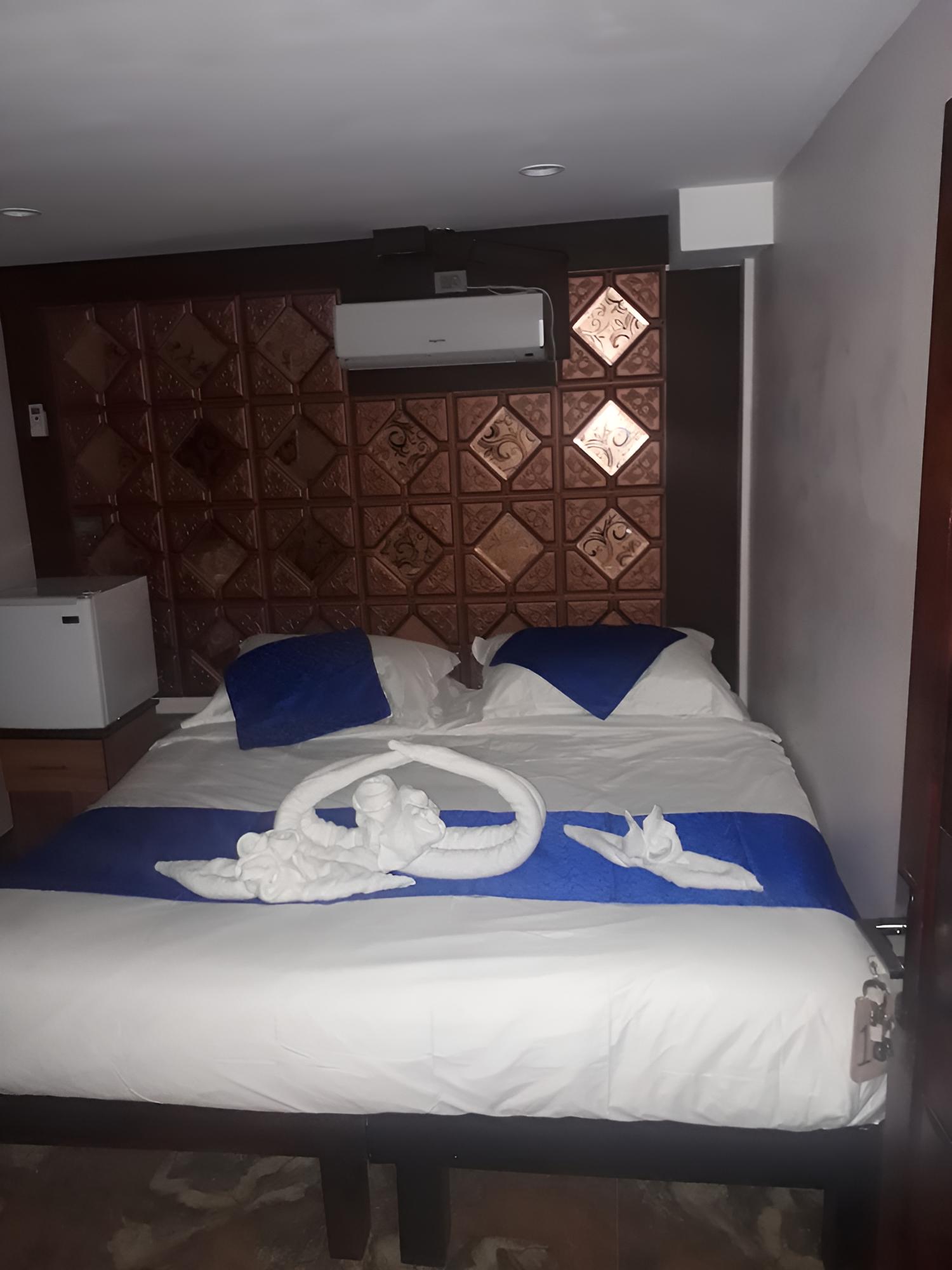 Comfort Studio, 1 Queen Bed photo 3