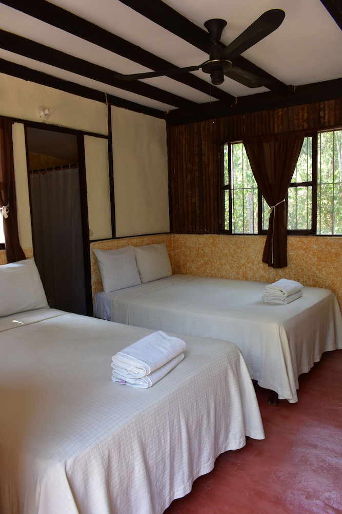 Economy Quadruple Room, 2 Double Beds, Private Bathroom photo 1