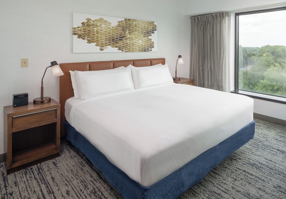 Suite, 1 King Bed (2 Room) - Photo 3