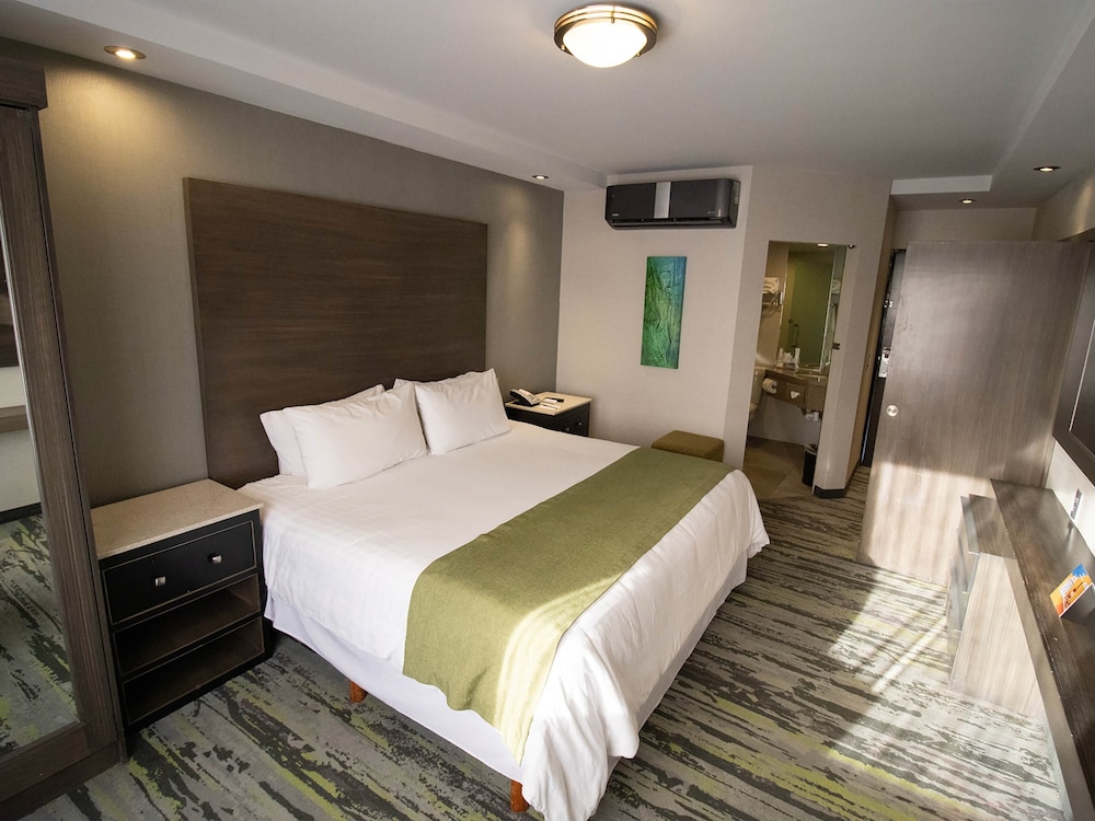 Executive Studio Suite