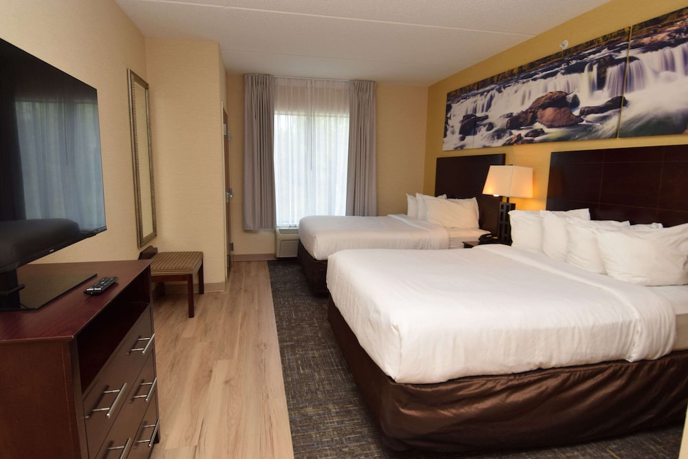 Suite - Photo 4