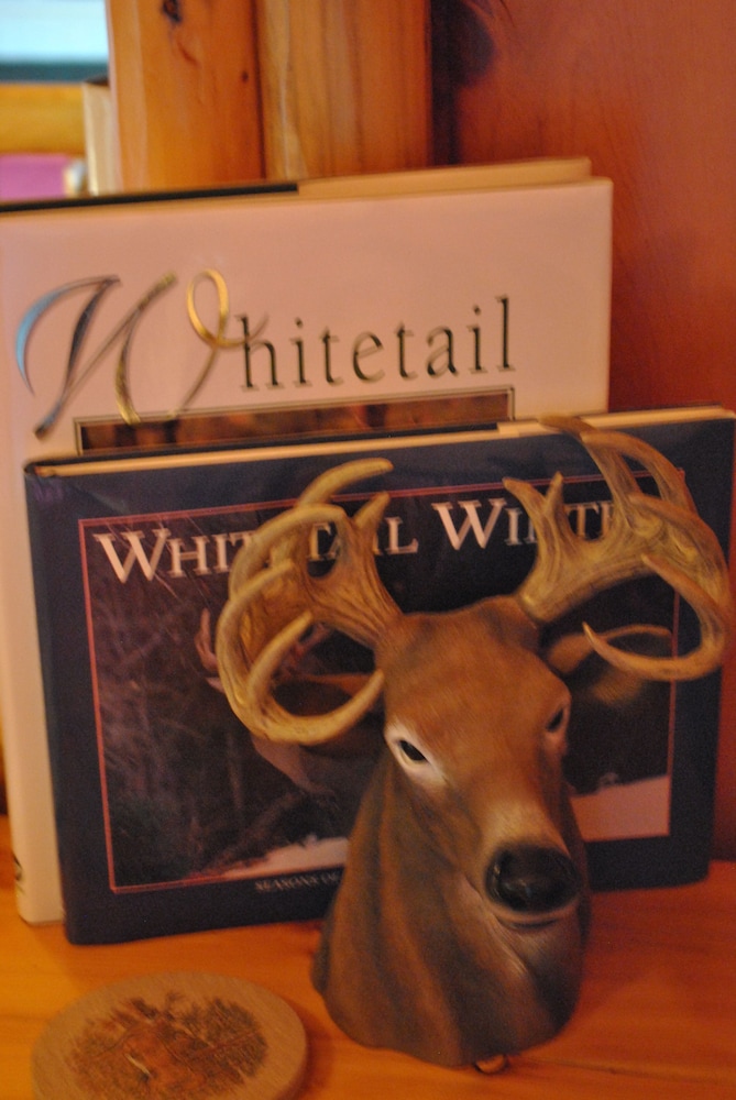 Deer Room photo 3