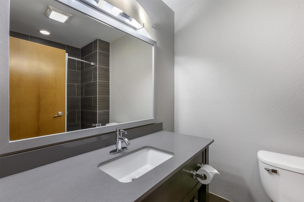Suite, 1 King Bed, Non Smoking, Refrigerator & Microwave (with Sofabed)
