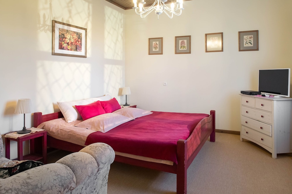 Deluxe Double Room, 1 King Bed, Non Smoking, Garden View (Karl) photo 1