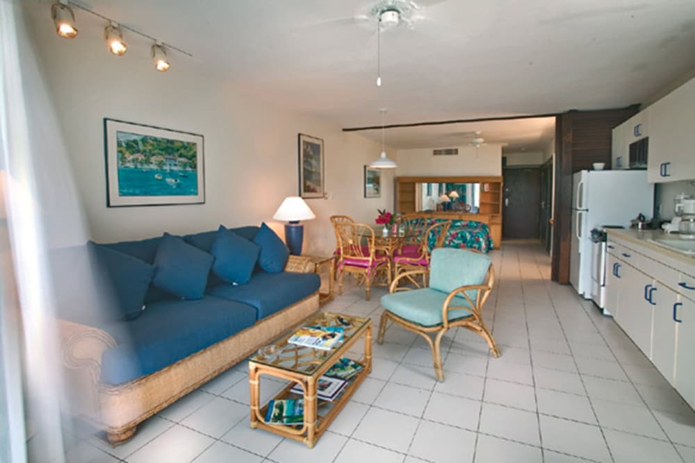 Standard Studio Suite, 1 King Bed with Sofa bed, Beachfront