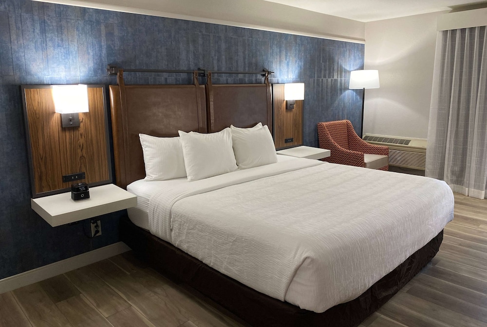 Room, 1 King Bed, Non Smoking - Photo 1