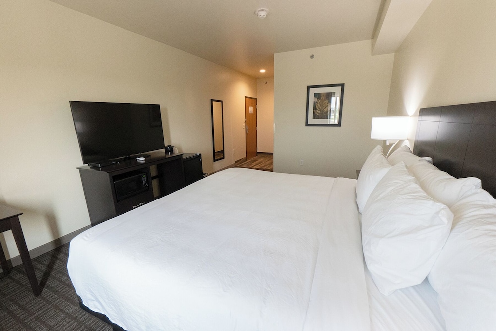 Room, 1 King Bed, Non Smoking (King with Audible/Visual Alert) photo 2