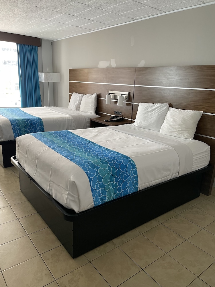 Deluxe Studio, 2 Queen Beds photo 1