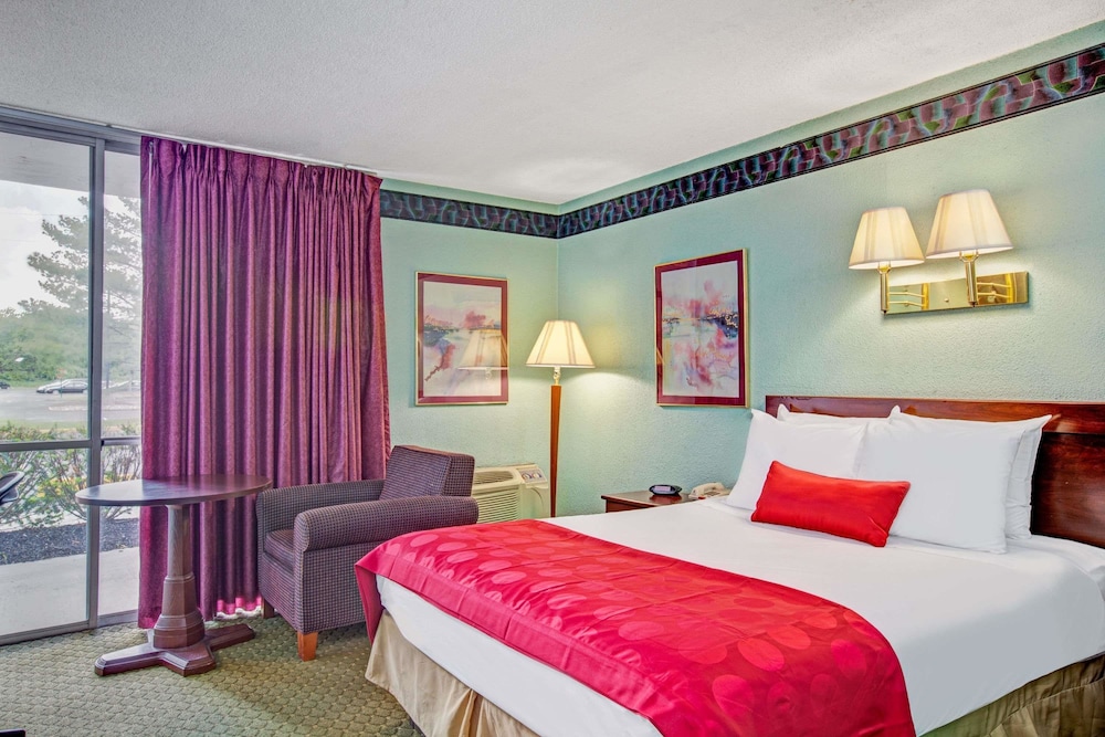 Room, 1 King Bed, Non Smoking photo 1