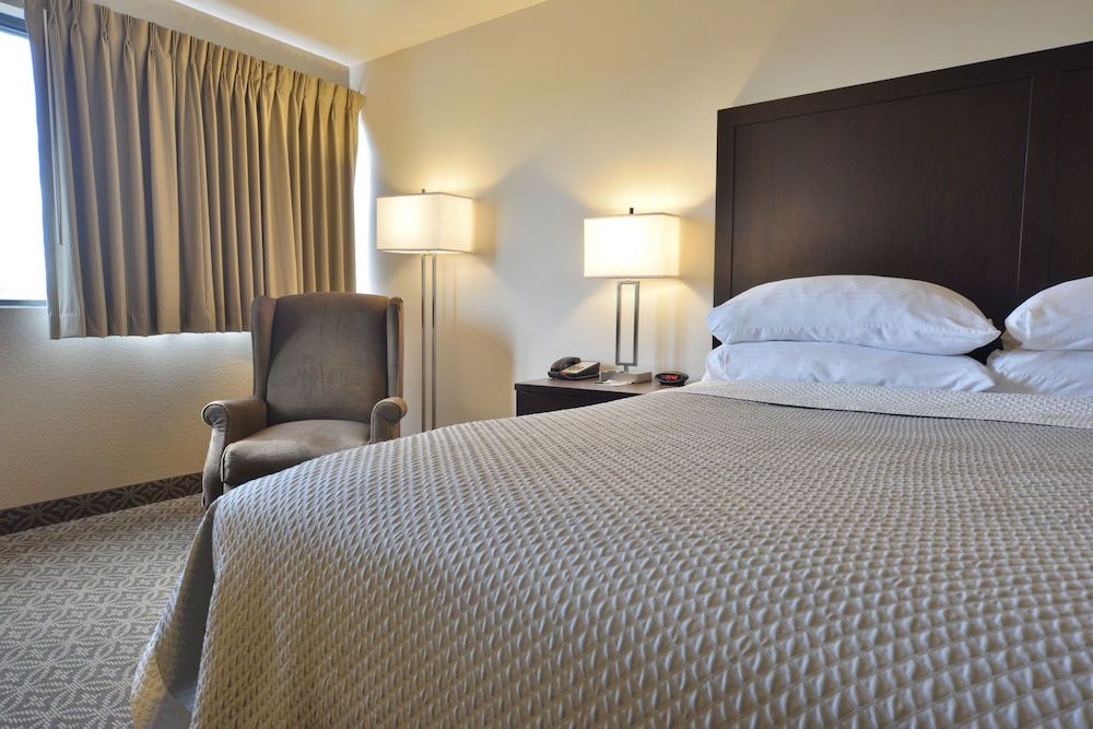 Business Room, 1 King Bed photo 3