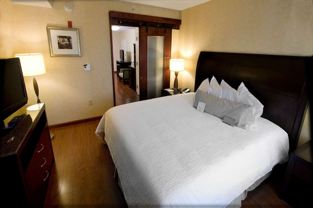 One king one bedroom evolution suite photo 2