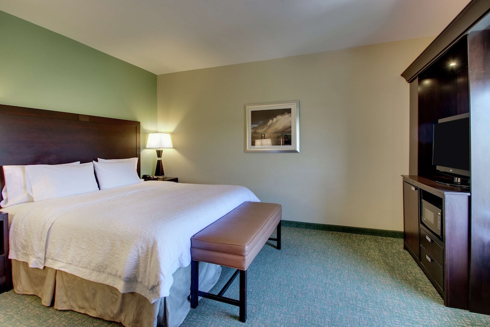 Room, 1 King Bed photo 3