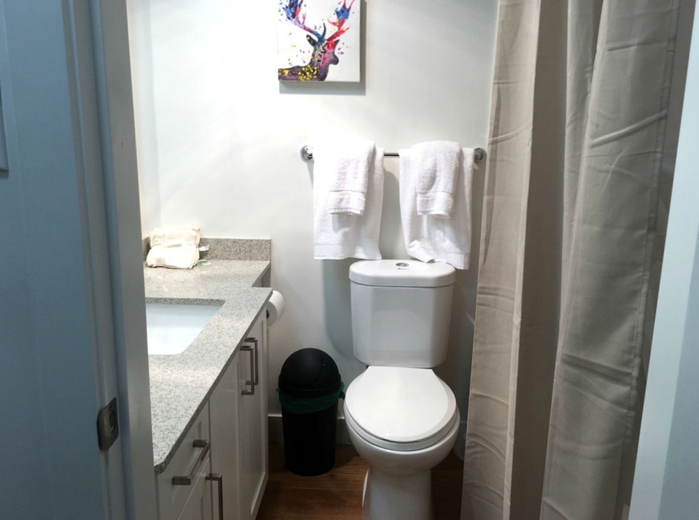 Suite, 1 Bedroom photo 3