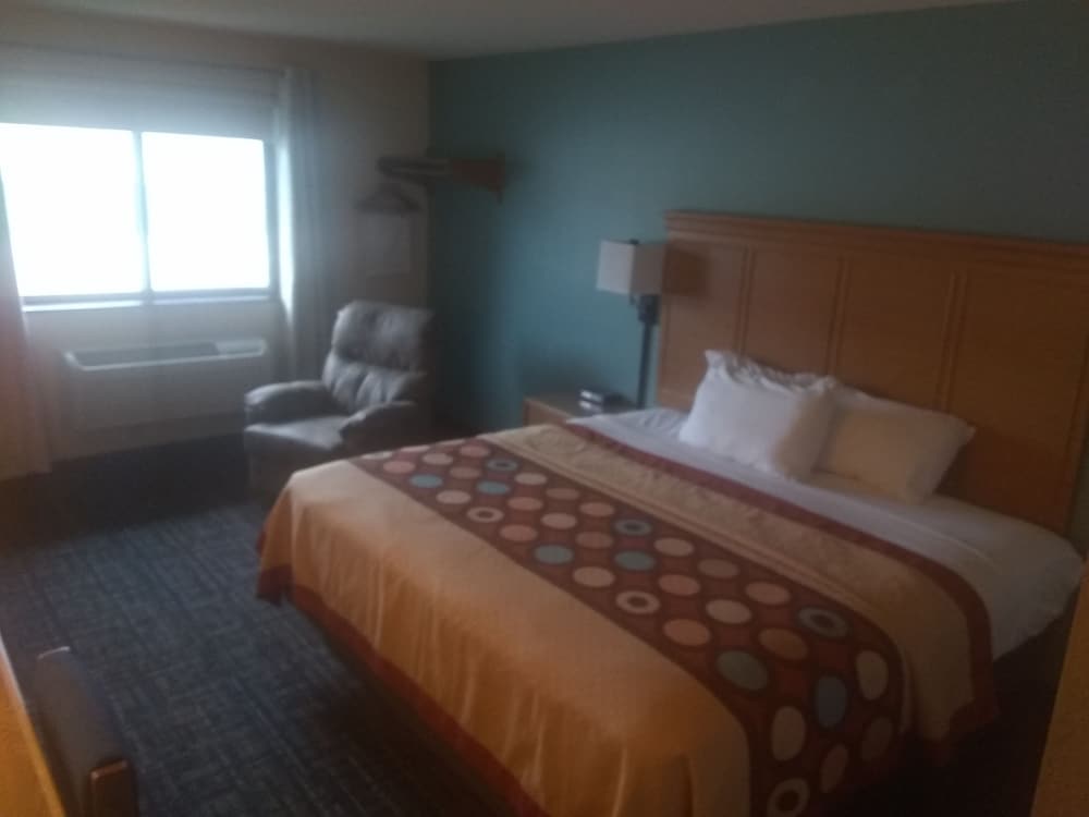Room, 1 King Bed, Refrigerator - Photo 2