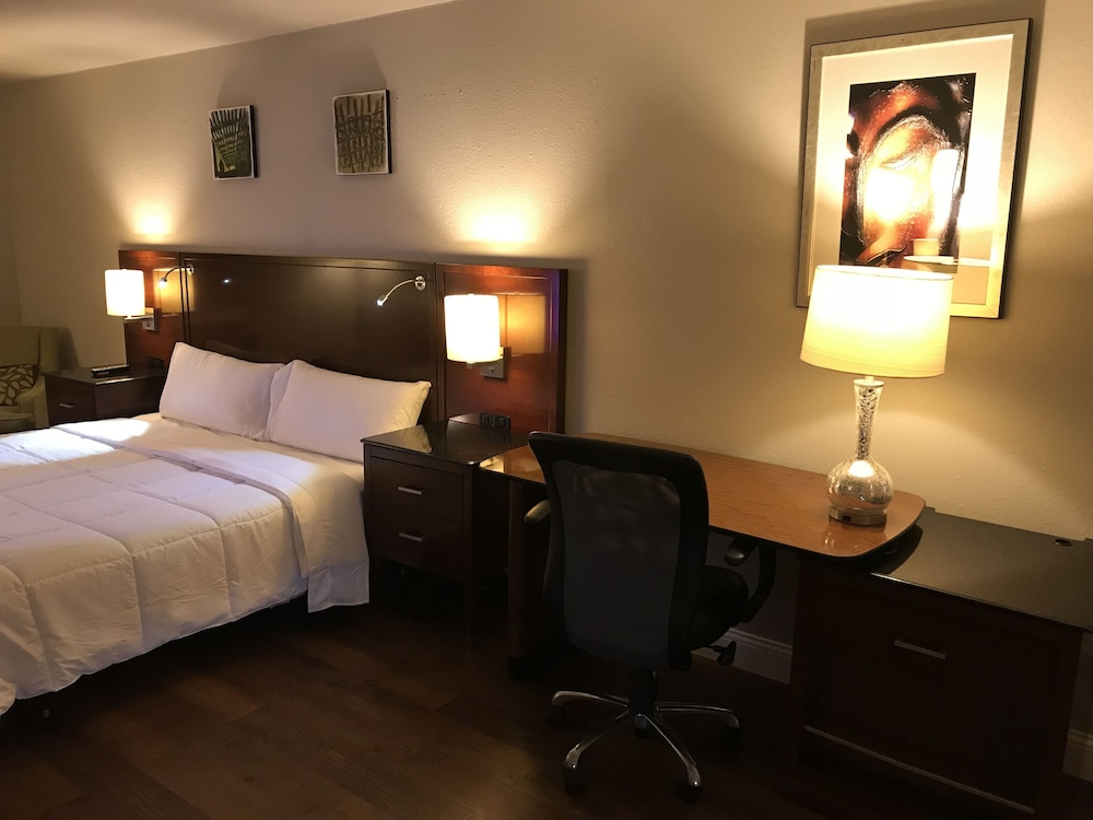 Luxury Suite, 1 King Bed, Refrigerator & Microwave photo 2