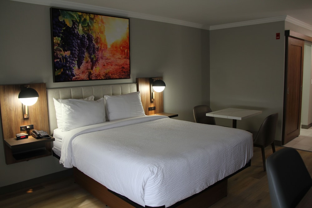 1 Queen Bed, Deluxe Room, Kitchenette, Non-Smoking - Photo 7