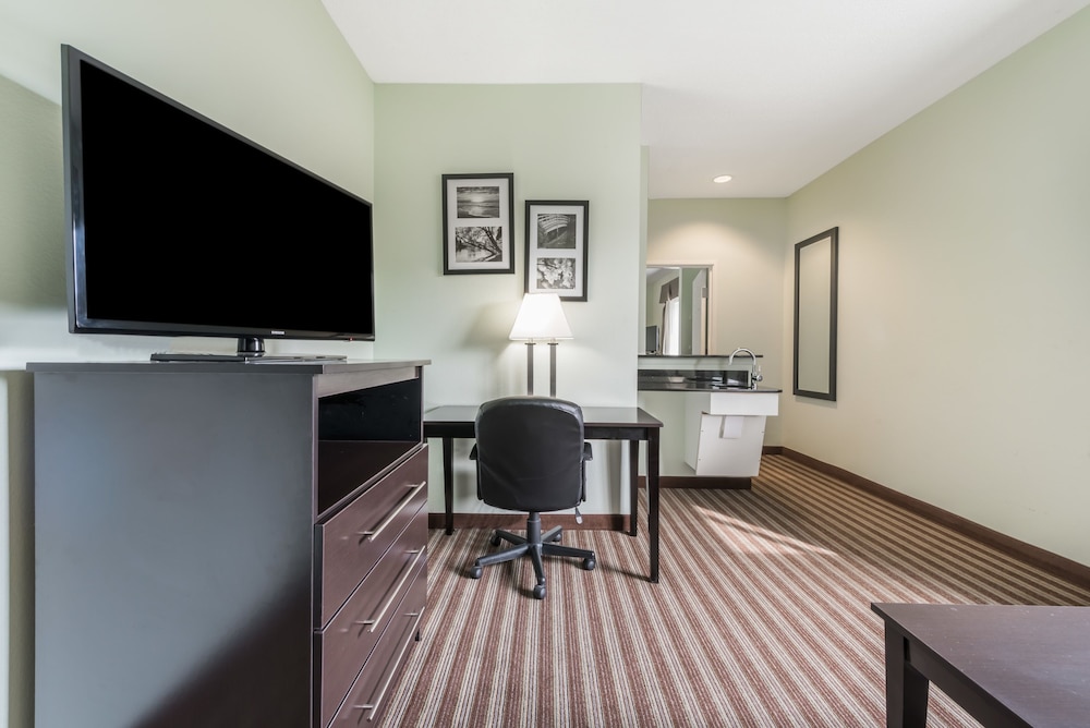 Suite, 1 King Bed, Refrigerator - Photo 4